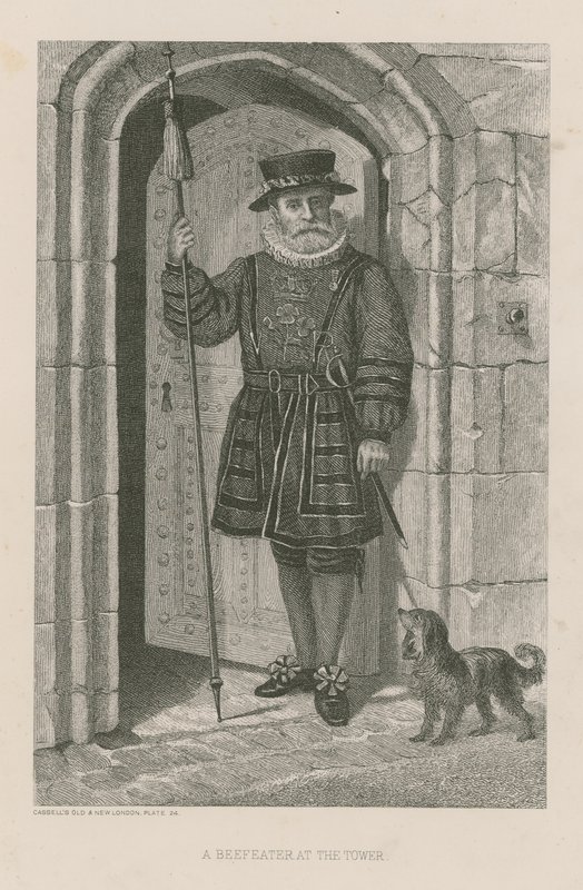 Beefeater v Toweru od English School
