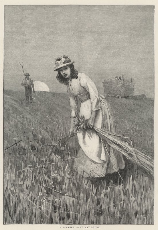 A Gleaner (rytina) od English School