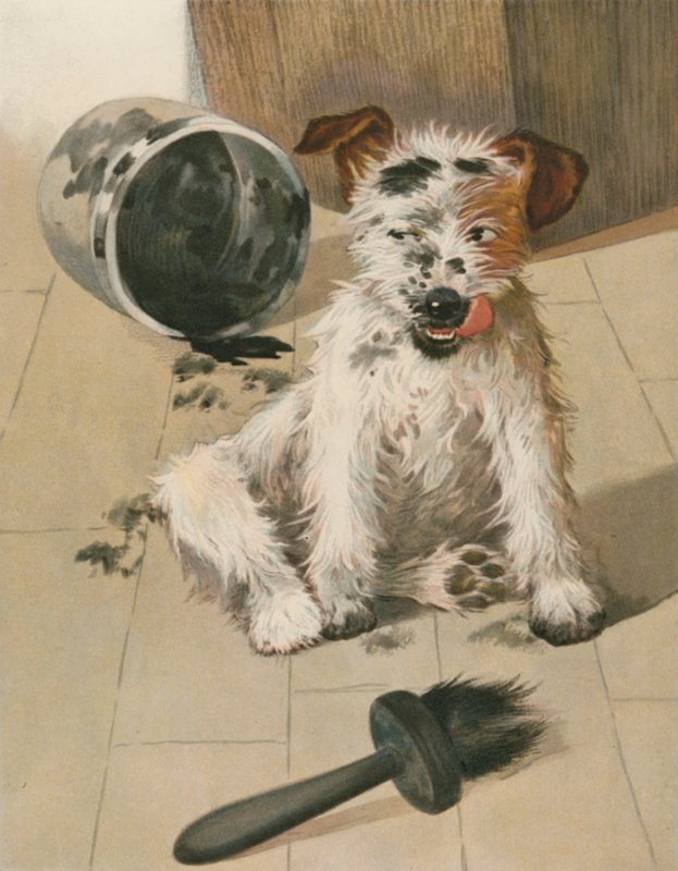 Ragamuffin od English School