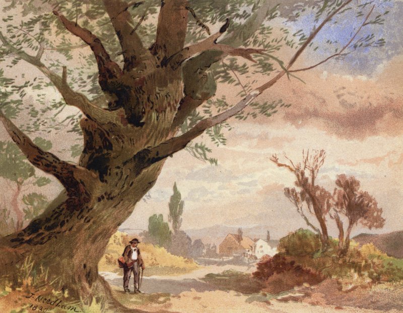 Ash by the Wayside (barevné lito) od English School