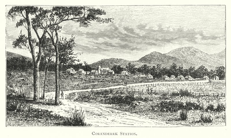 Austrálie: Coranderrk Station (rytina) od English School