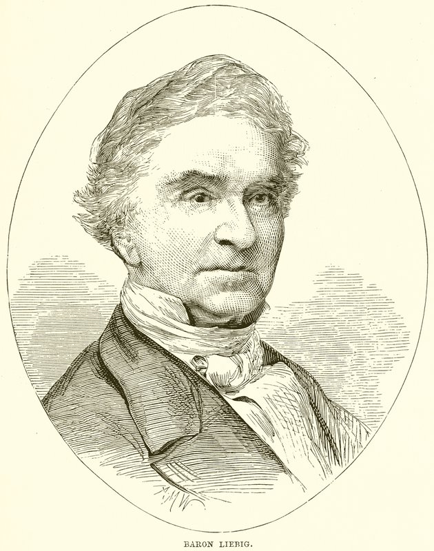 baron Liebig od English School