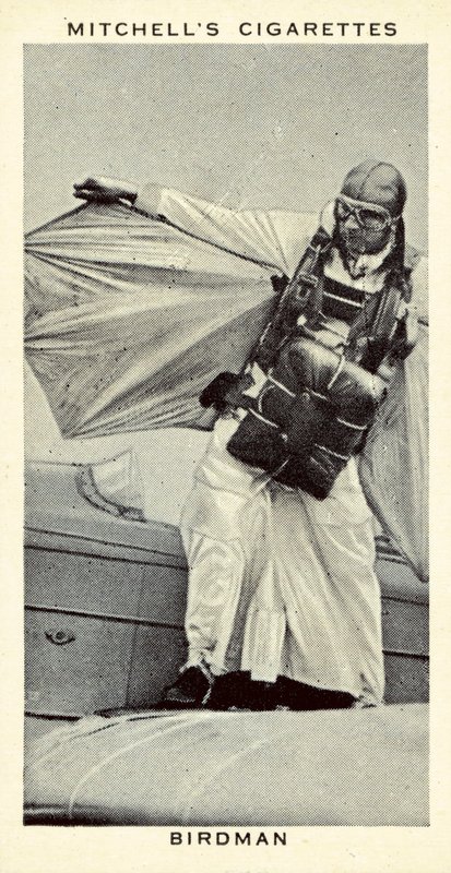 Birdman (litho) od English School