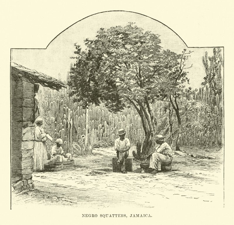 Black Squatters, Jamajka od English School