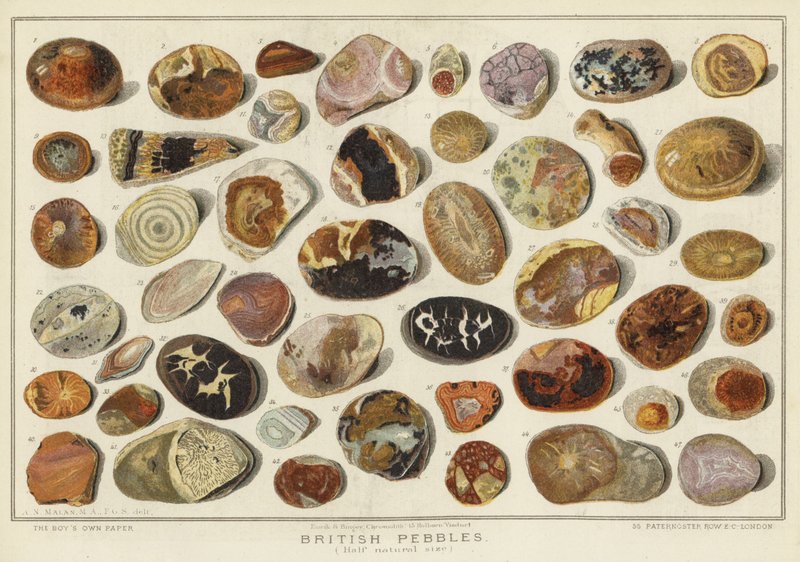 Britské oblázky (chromolitho) od English School