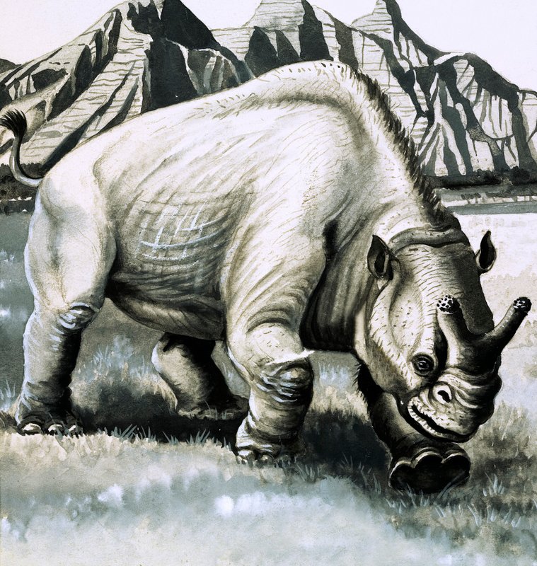 Brontotherium z doby oligocénu od English School
