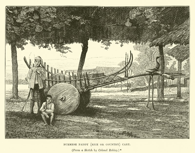 Barmský neloupaný vozík (rýže nebo country). od English School