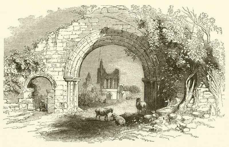 Byland Abbey (rytina) od English School