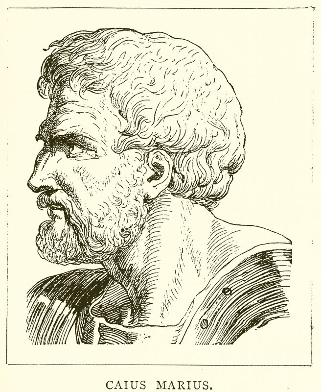 Caius Marius od English School