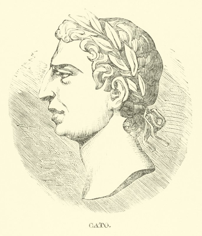 Cato od English School