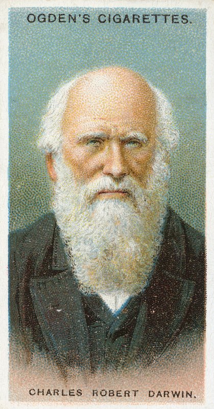 Charles Robert Darwin od English School