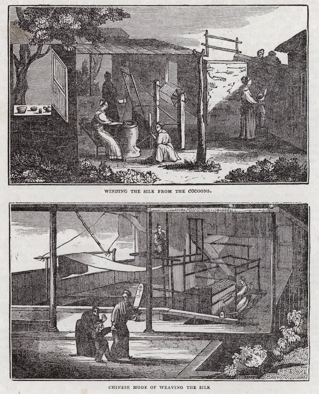 Pěstování hedvábí (rytí) od English School