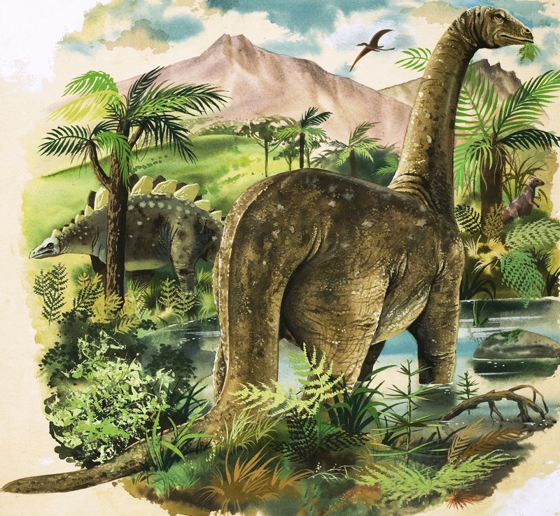 Dinosauři od English School