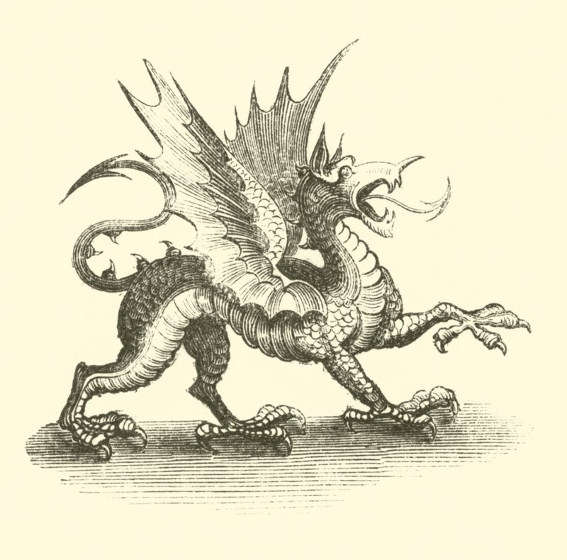 Drak (rytina) od English School