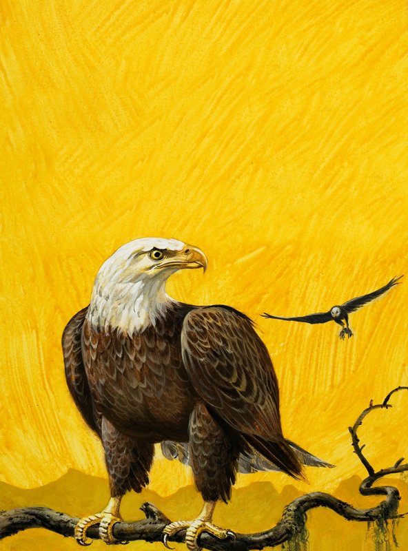 Eagle od English School