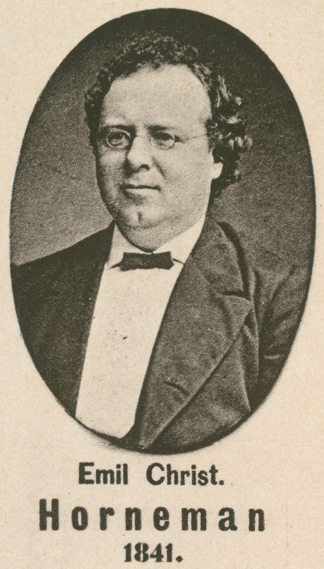 Emil Christian Horneman (hlubotisk) od English School