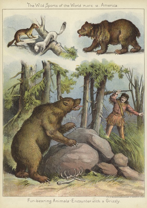 Setkání s grizzlym od English School
