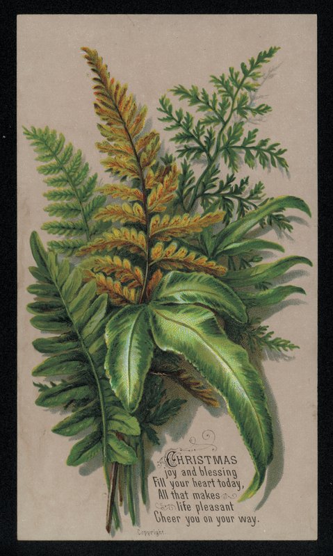 Slavnostní aranžmá listů, vánoční přání (chromolitho) od English School