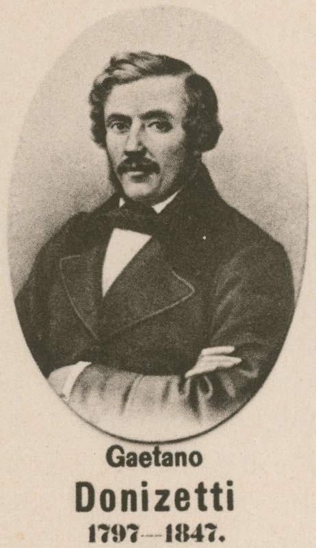 Gaetano Donizetti (hlubotisk) od English School