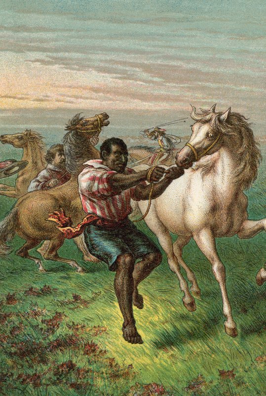 Garibaldiho vojáci lámající divoké koně od English School