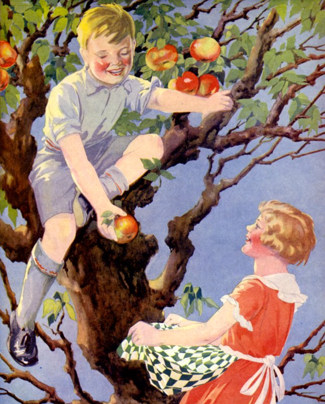 Sbírání úrody jablek (barevné lito) od English School
