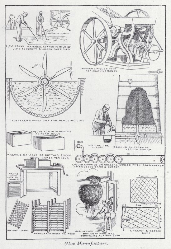 Výroba lepidla (litho) od English School