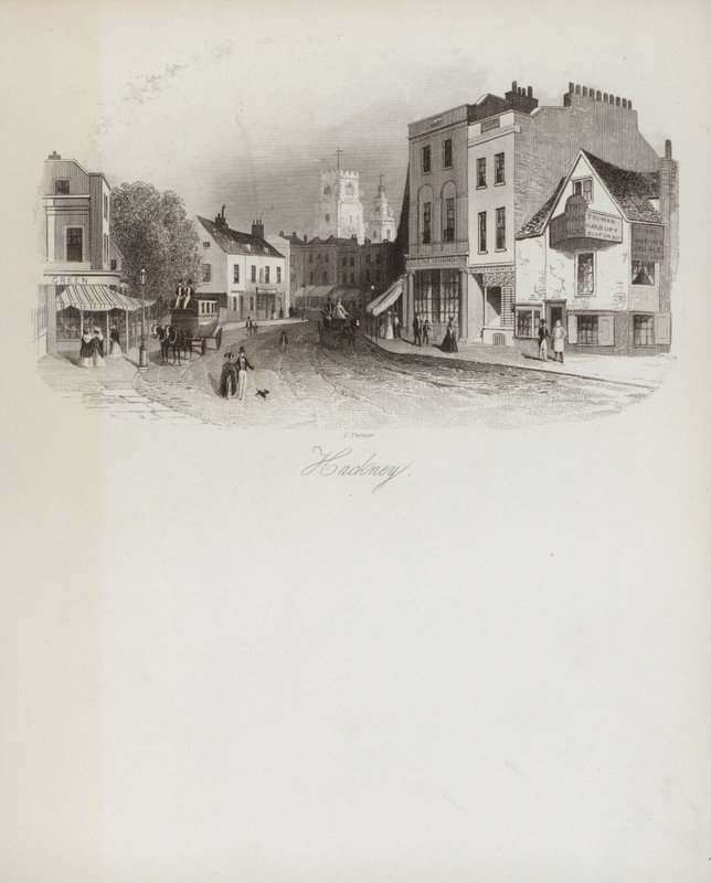 Hackney (rytina) od English School