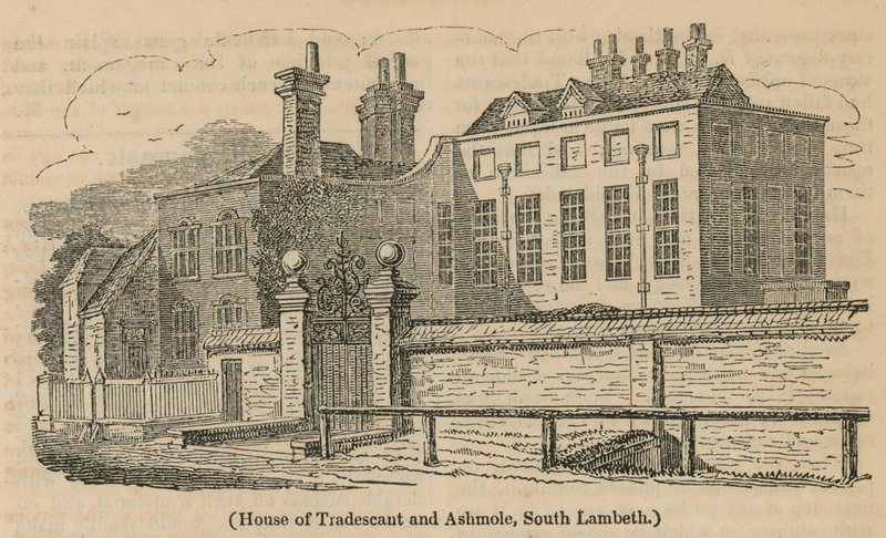 House of Tradescant a Ashmole, South Lambeth od English School
