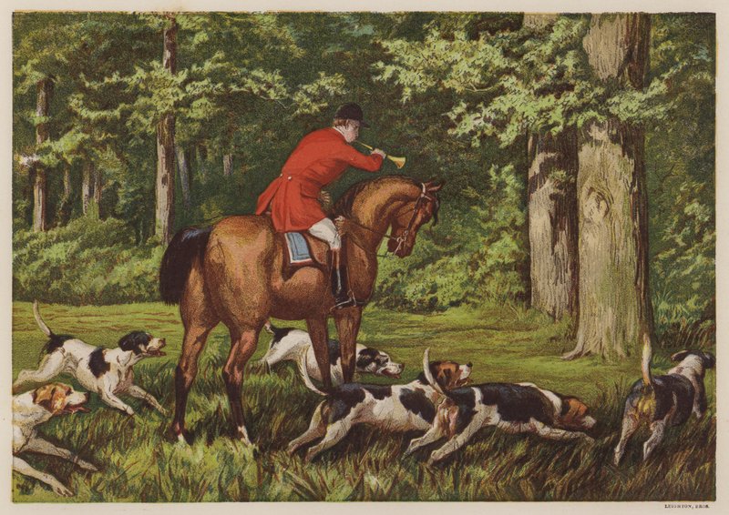 Lov s honiči (barva litho) od English School