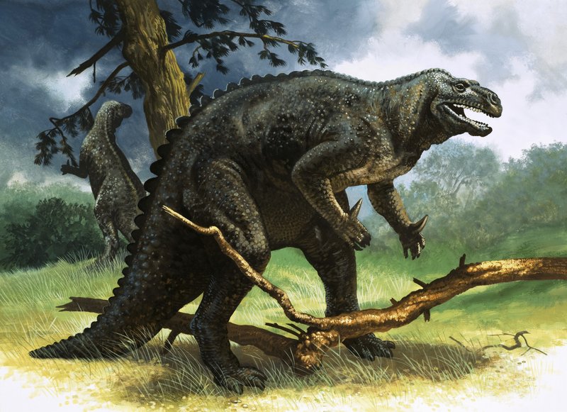 Iguanodon od English School