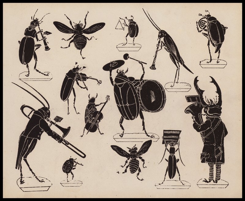 Hmyz hrající na hudební nástroje (litho) od English School