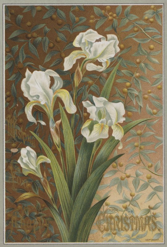 Iris (chromolit) od English School