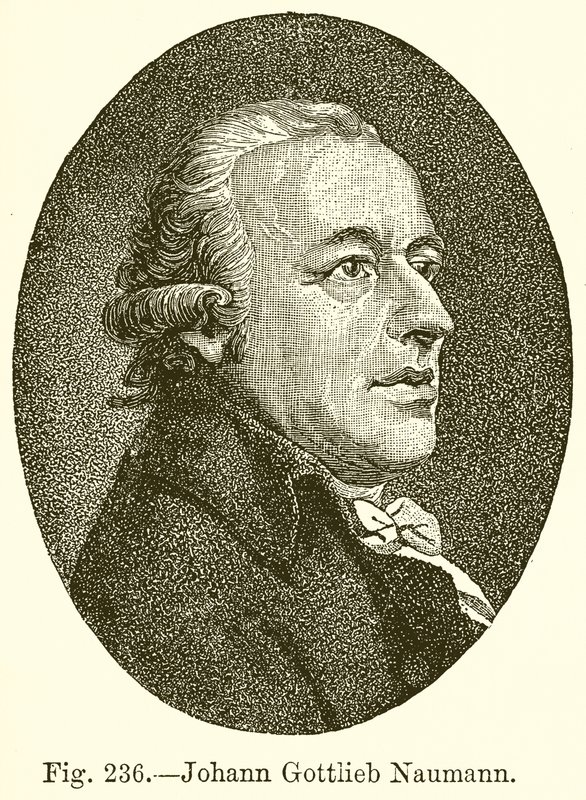 Johann Gottlieb Naumann od English School