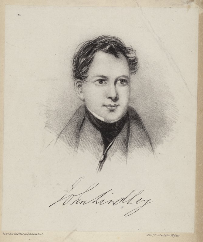 John Lindley od English School