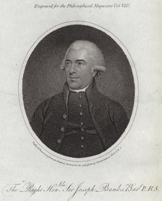 Joseph Banks od English School
