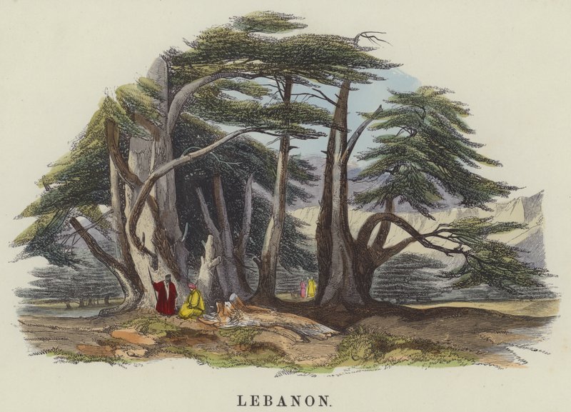 Libanon (barevná rytina) od English School