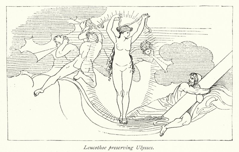 Leucothoe konzervující Ulysses (litho) od English School