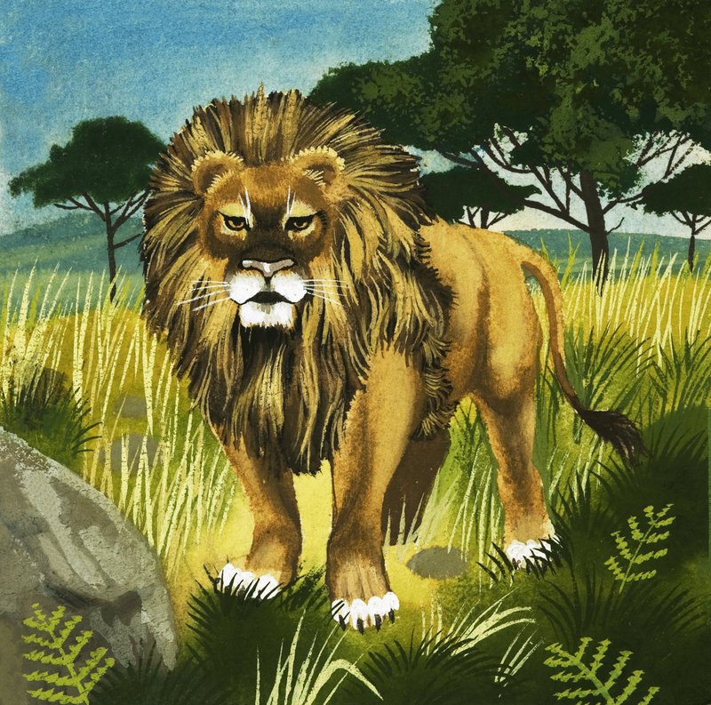 Lion od English School