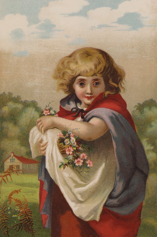 Malá pomněnka (chromolitho) od English School