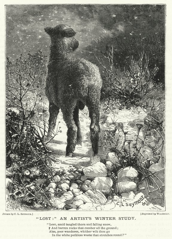 "Ztraceno," umělcova zimní studie (rytina) od English School