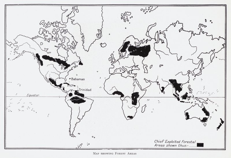 Mapa zobrazující lesní oblasti (litho) od English School