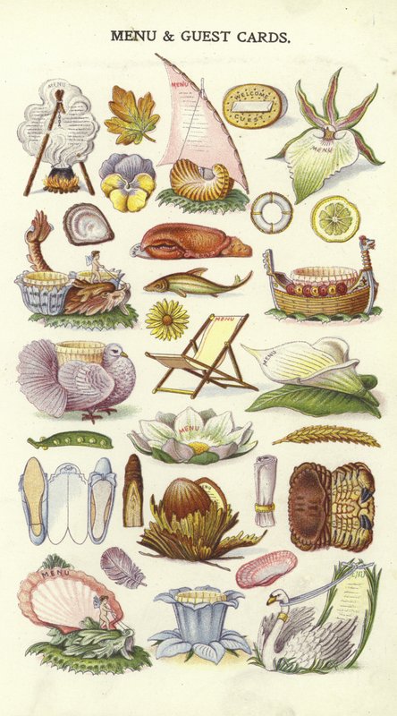 Menu a karty hostů od English School