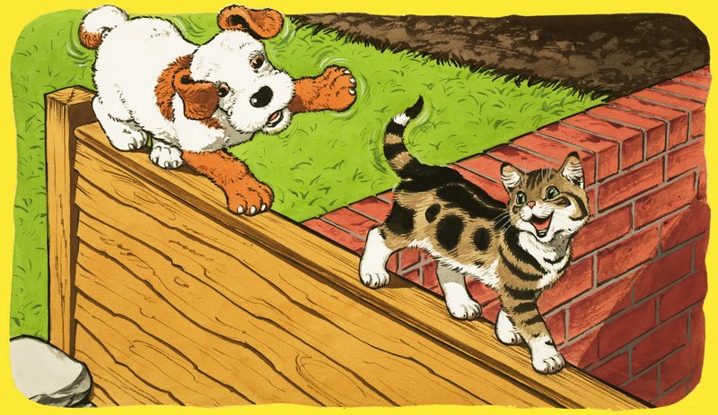 Paddy Paws od English School