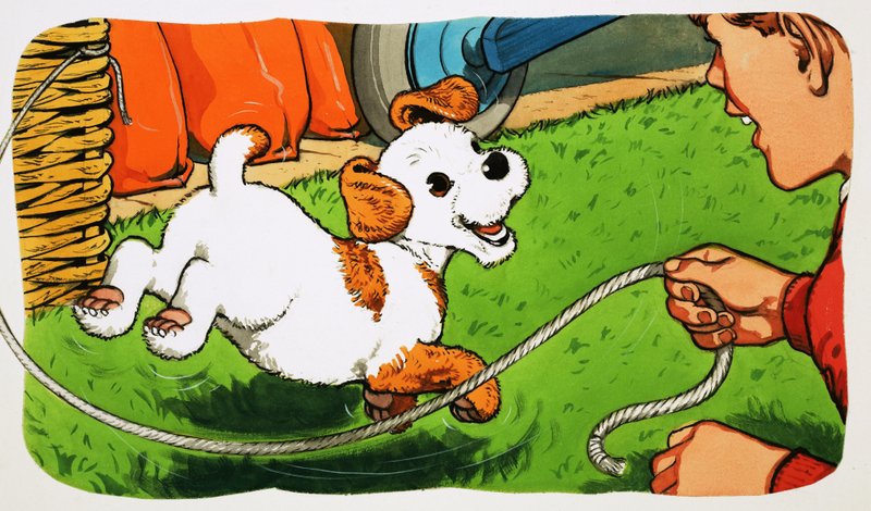 Paddy Paws od English School