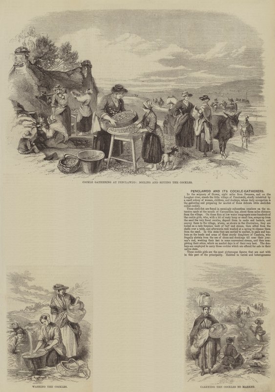 Penclawdd and its Cockle-Gatherers (rytina) od English School