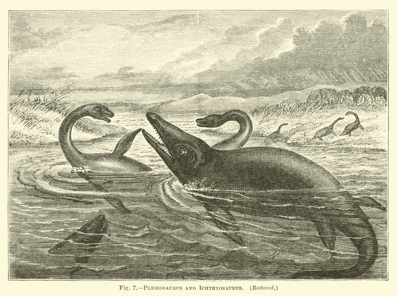 Plesiosaurus a Ichthyosaurus od English School