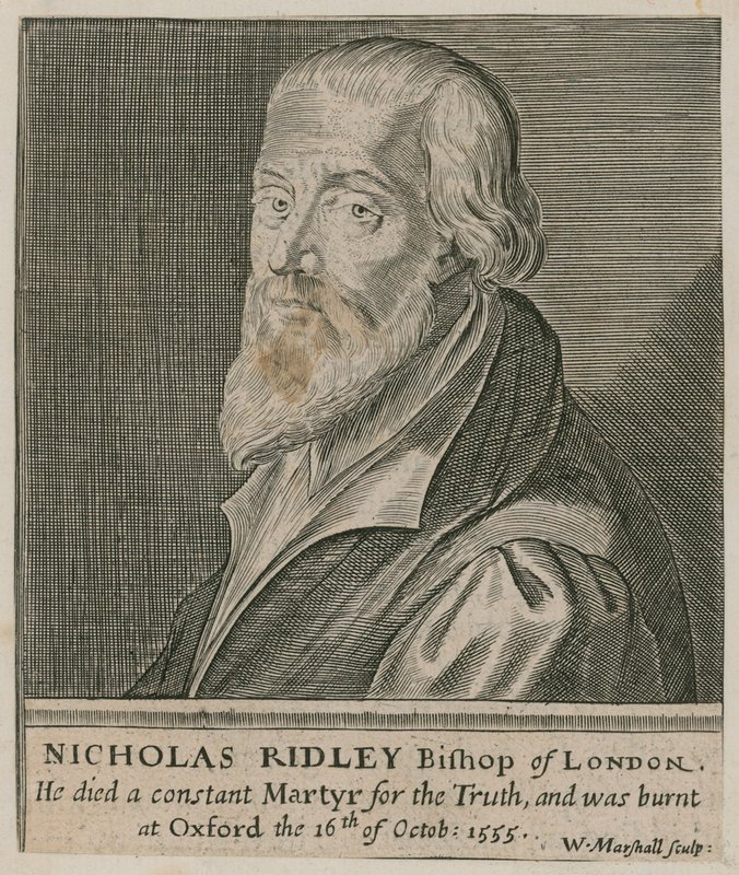 Portrét Nicholase Ridleyho od English School