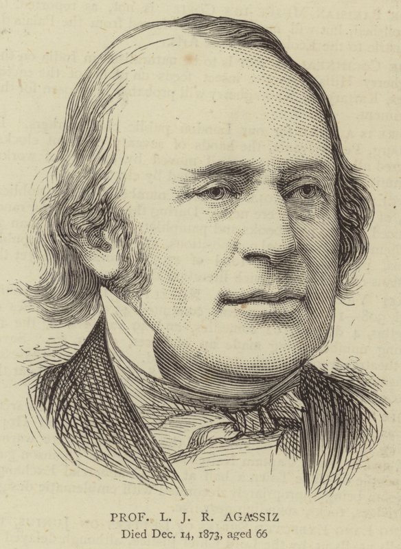Profesor L. J. R. Agassiz (rytina) od English School