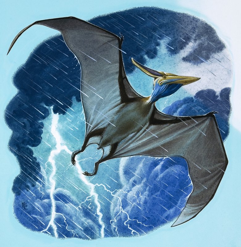 Pterodaktyl od English School