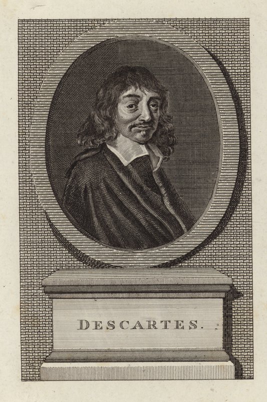 René Descartes od English School